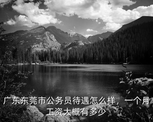 東莞審計(jì)局公務(wù)員待遇怎么樣,廣東省公務(wù)員待遇怎么樣