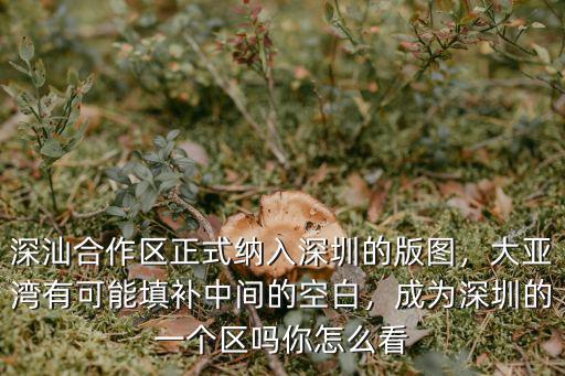 深圳一個(gè)區(qū)怎么劃分,深圳市有幾個(gè)區(qū)