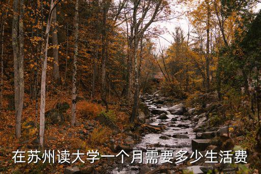 在蘇州讀大學一個月需要多少生活費