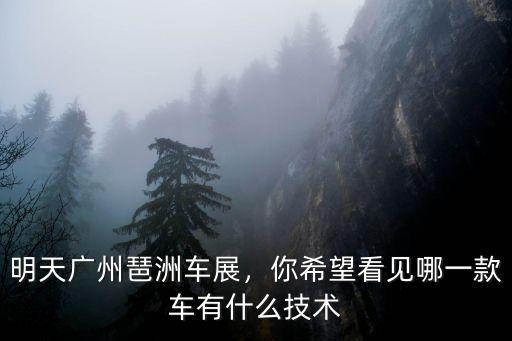 明天廣州琶洲車展，你希望看見哪一款車有什么技術