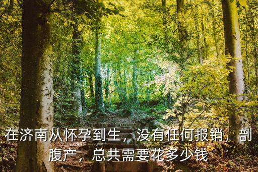 濟南順產(chǎn)大約需要多少錢,在濟南生孩子需要花多少錢