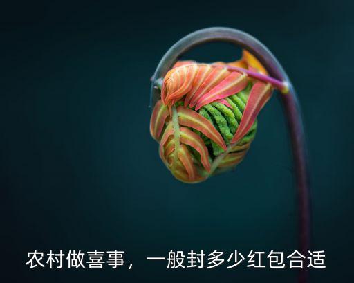 廣東婚禮紅包封多少合適,廣東人結婚包多大的紅包