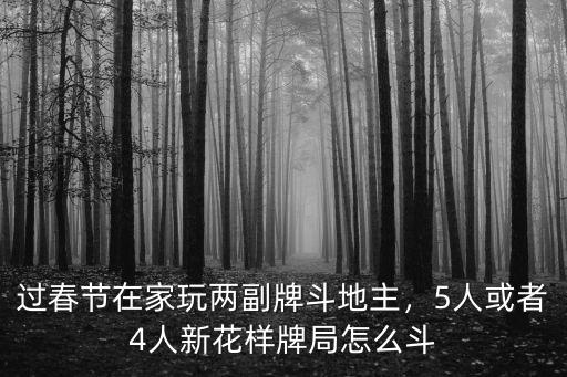 廣州斗地主怎么玩,過春節在家玩兩副牌斗地主