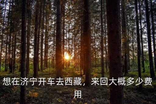 想在濟寧開車去西藏，來回大概多少費用