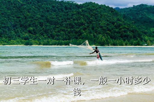初三學(xué)生一對一補課，一般一小時多少錢