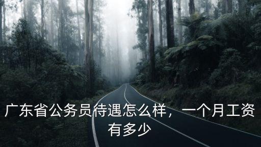 廣東省公務員待遇怎么樣，一個月工資有多少