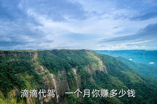 在東莞做滴滴代駕一月能掙多少,一個月你賺多少錢