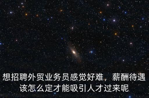 想招聘外貿(mào)業(yè)務(wù)員感覺好難，薪酬待遇該怎么定才能吸引人才過來呢