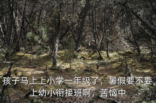 孩子馬上上小學一年級了，暑假要不要上幼小銜接班啊，苦惱中