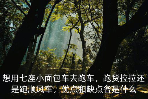 佛山小面包跑貨拉拉怎么樣,有個(gè)面包車想加入貨拉拉