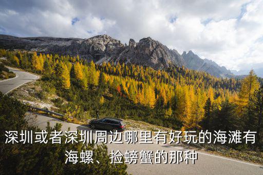 深圳或者深圳周邊哪里有好玩的海灘有海螺、撿螃蟹的那種