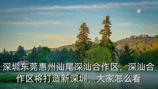 深圳到深汕合作區高鐵要多少時間,深汕合作區將打造新深圳