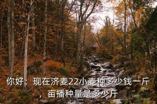 宿遷種子站小麥種多少錢一斤,黑麥種子多少錢一斤