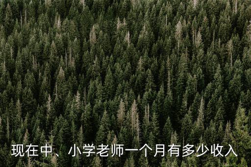 江蘇農村教師加工資多少錢一個月,初中教師一個月工資有多少錢