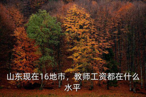 山東初中教師工資多少,教師工資都在什么水平
