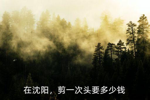 濟(jì)南吉米造型剪發(fā)多少錢(qián),在濟(jì)南理發(fā)多少錢(qián)