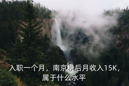 南京收入多少算金領(lǐng),南京稅后月收入15K