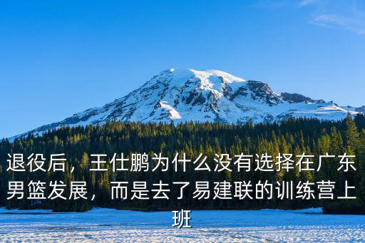 退役后，王仕鵬為什么沒有選擇在廣東男籃發展，而是去了易建聯的訓練營上班