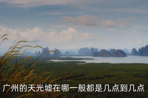 廣州早上的天光墟鬼市在哪里,廣州的天光墟是什么