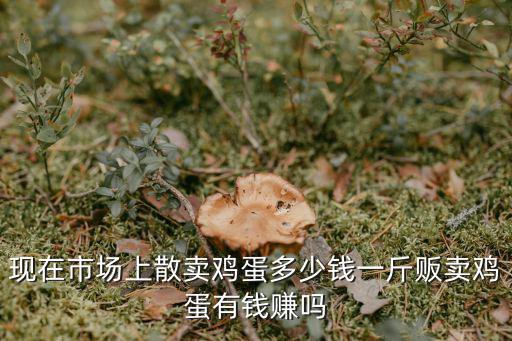 威海現(xiàn)在雞蛋多少錢一斤,販賣雞蛋有錢賺嗎