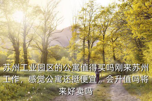 蘇州工業園區的公寓房價格是多少,剛來蘇州工作