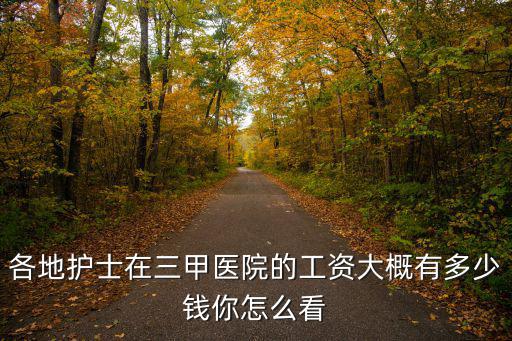 各地護士在三甲醫院的工資大概有多少錢你怎么看