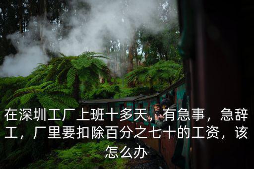 深圳工廠(chǎng)急辭工扣多少錢(qián),在深圳工廠(chǎng)上班十多天