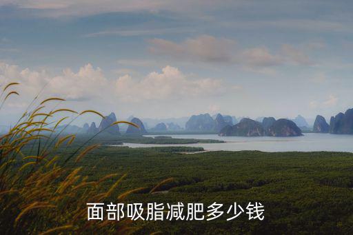 鹽城東方整形醫(yī)院面部吸脂多少錢,面部吸脂減肥多少錢