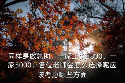 深圳總助的工資一般是多少,深圳服務員工資多少