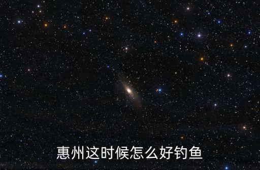 阿峰在惠州哪里釣魚,惠州這時候怎么好釣魚