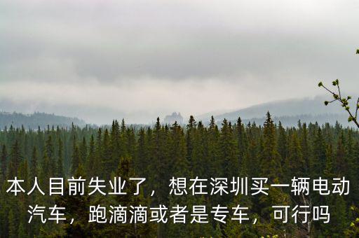 本人目前失業(yè)了，想在深圳買一輛電動(dòng)汽車，跑滴滴或者是專車，可行嗎