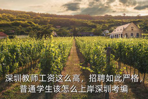 怎么考進(jìn)深圳帶編老師,普通學(xué)生該怎么上岸深圳考編