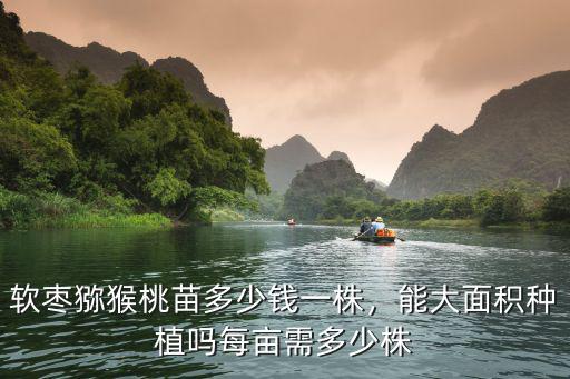 山東紫萱草多少錢一株,軟棗獼猴桃苗多少錢一株