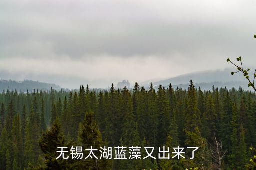 無錫治理太湖藍藻花了多少錢,無錫太湖藍藻又出來了