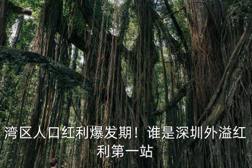 灣區人口紅利爆發期！誰是深圳外溢紅利第一站