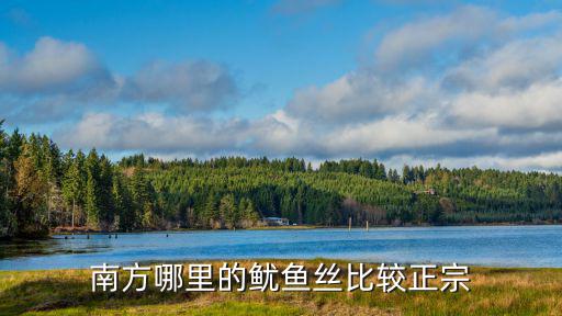 南方哪里的魷魚絲比較正宗