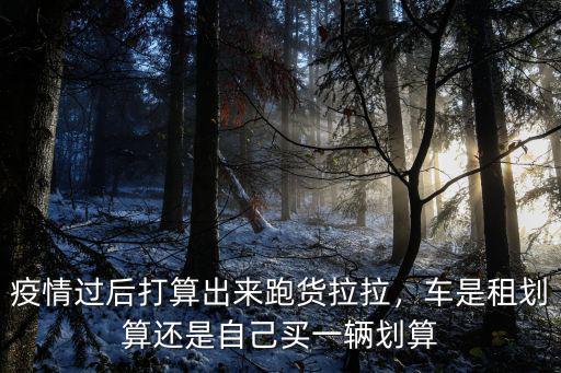 疫情過后打算出來跑貨拉拉，車是租劃算還是自己買一輛劃算
