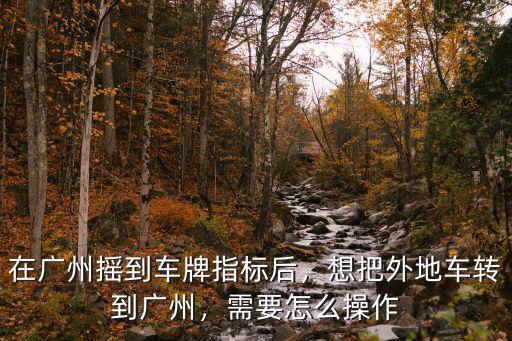 廣州小汽車搖號怎么注銷,如何參加廣州搖車牌號