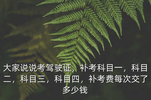 江門考駕照補考多少錢,大家說說考駕駛證