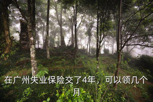 廣州失業(yè)保險金每月領(lǐng)多少,在廣州失業(yè)保險交了4年