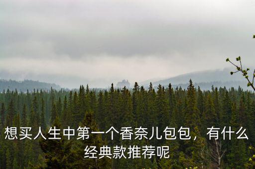 想買人生中第一個香奈兒包包，有什么經典款推薦呢