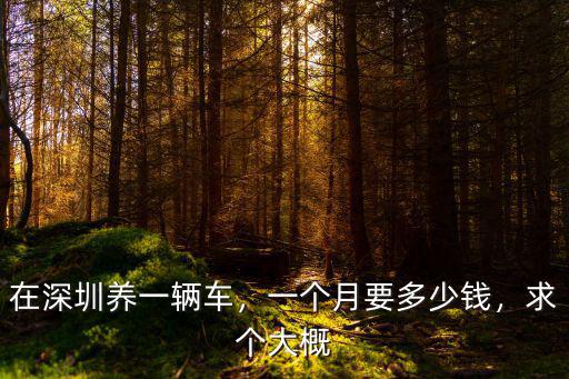 在深圳養(yǎng)一輛車，一個(gè)月要多少錢，求個(gè)大概