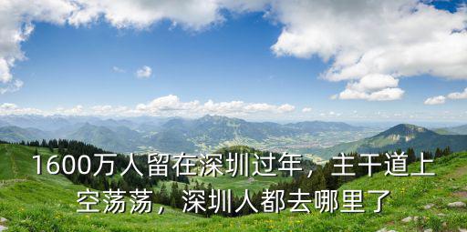 深圳過年去哪里買年花,1600萬人留在深圳過年