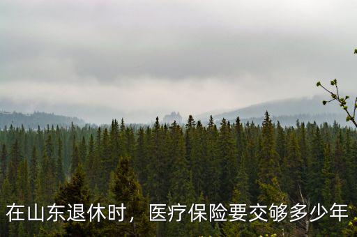 山東的醫保退休前需交多少年,醫療保險要交夠多少年