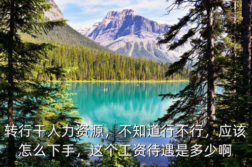 轉(zhuǎn)行干人力資源，不知道行不行，應(yīng)該怎么下手，這個(gè)工資待遇是多少啊
