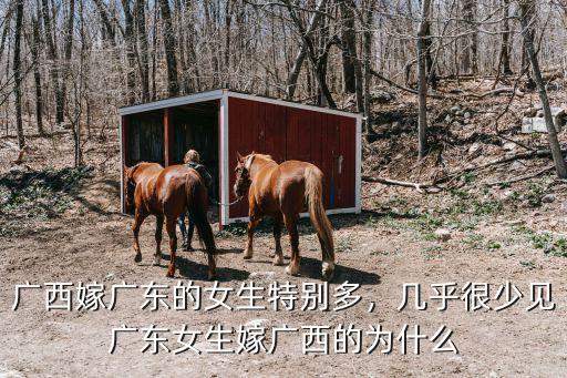 廣西嫁廣東的女生特別多，幾乎很少見廣東女生嫁廣西的為什么