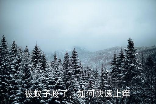 珠海被蚊子咬了怎么止癢消腫,如何快速止癢