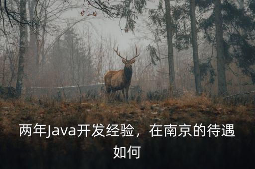 南京java開發(fā)1年工作經驗多少錢,從事java開發(fā)工作