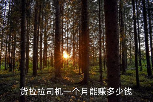 貨拉拉肇慶會員費多少一個月,想改行跑貨拉拉