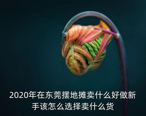 2020年在東莞擺地?cái)傎u什么好做新手該怎么選擇賣什么貨